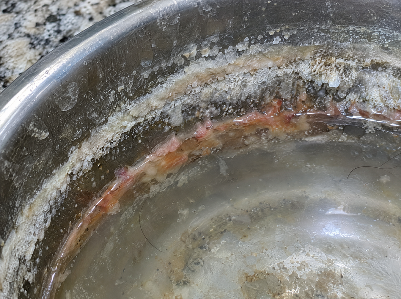 Pet bowl rim crusted with white limescale and pink slime